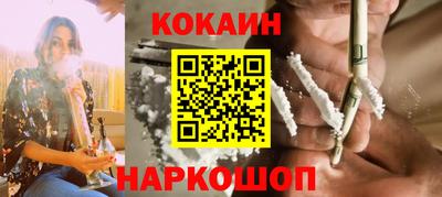 спайс Кингисепп