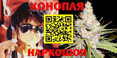 спайс Кингисепп