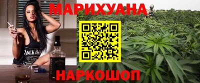 спайс Кингисепп