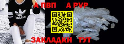 спайс Кингисепп