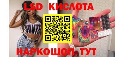 спайс Кингисепп