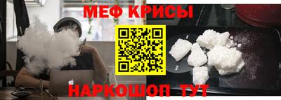 спайс Кингисепп
