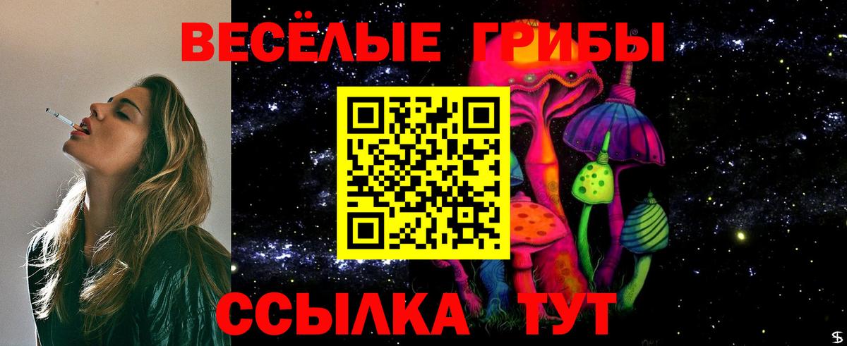 магазин    Вход с VPN  Галлюциногенные грибы прущие грибы  Дзержинский  Галлюциногенные грибы MAGIC MUSHROOMS 